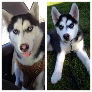 Meet your Posher, Christian